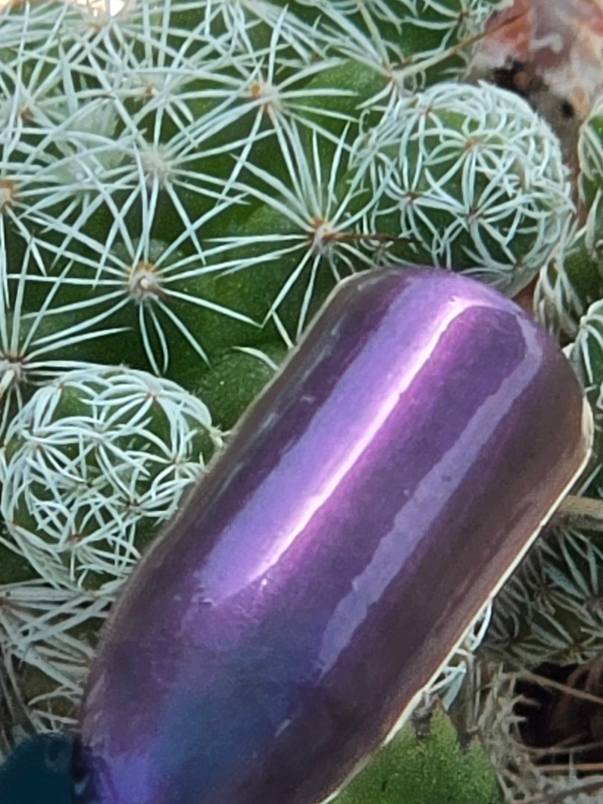 Pollinias Paradox - Yellow Crelly Nail Polish with Violet Pink Shimmer | Liquid Krystal Co. Handmade Indie Lacquer