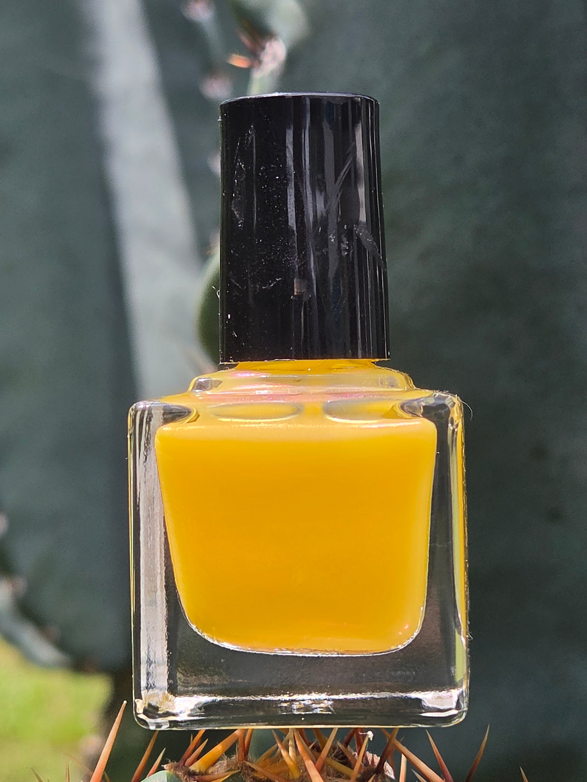 Pollinias Paradox - Yellow Crelly Nail Polish with Violet Pink Shimmer | Liquid Krystal Co. Handmade Indie Lacquer