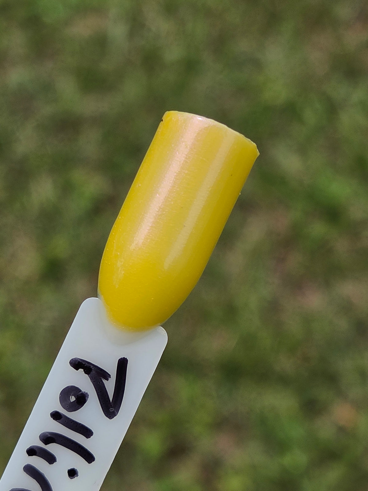 Pollinias Paradox - Yellow Crelly Nail Polish with Violet Pink Shimmer | Liquid Krystal Co. Handmade Indie Lacquer
