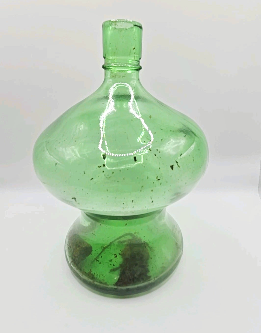 Vintage Green Glass Curiosity Bottle with Naturally Preserved Oddity