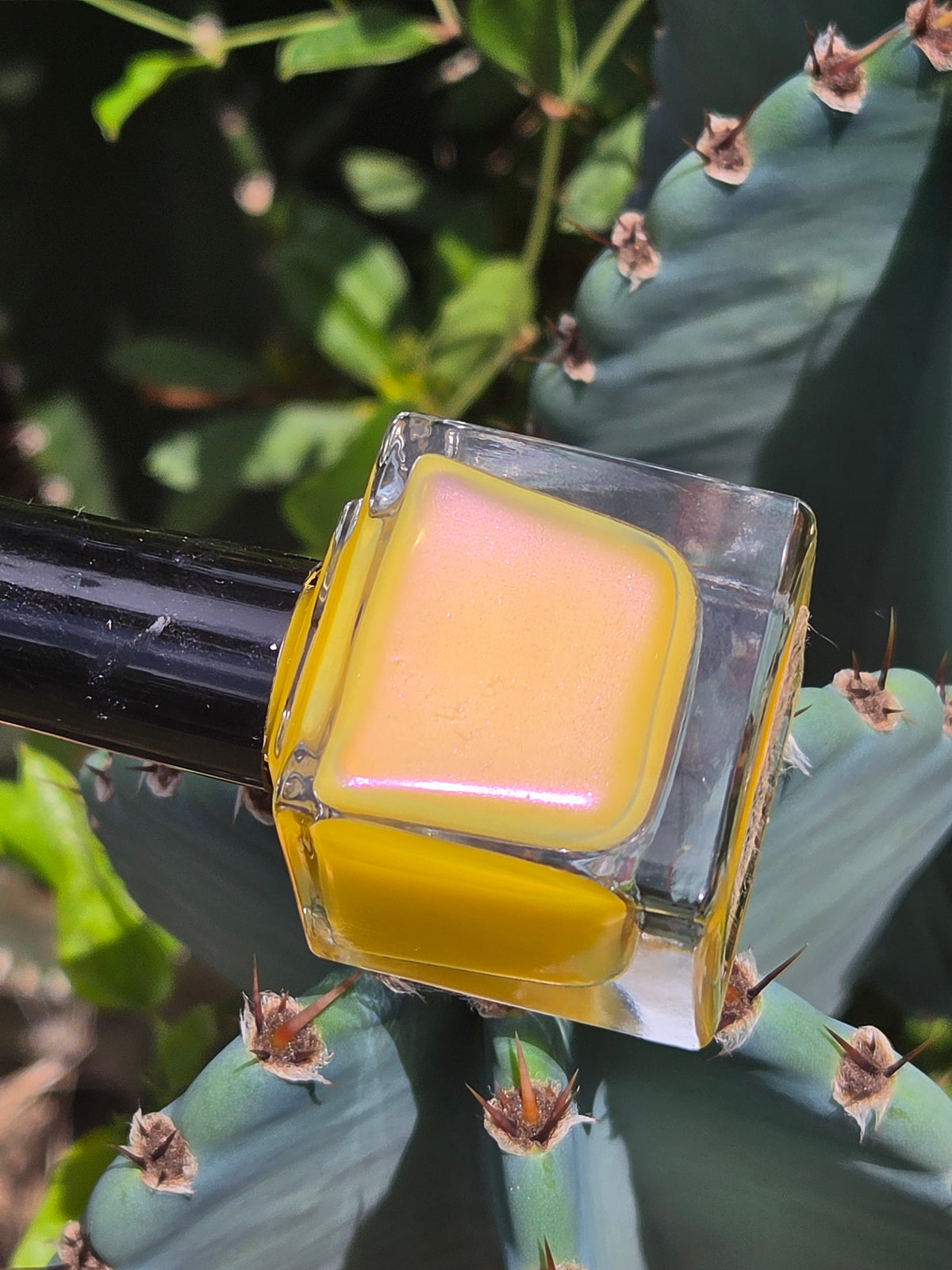 Pollinias Paradox - Yellow Crelly Nail Polish with Violet Pink Shimmer | Liquid Krystal Co. Handmade Indie Lacquer