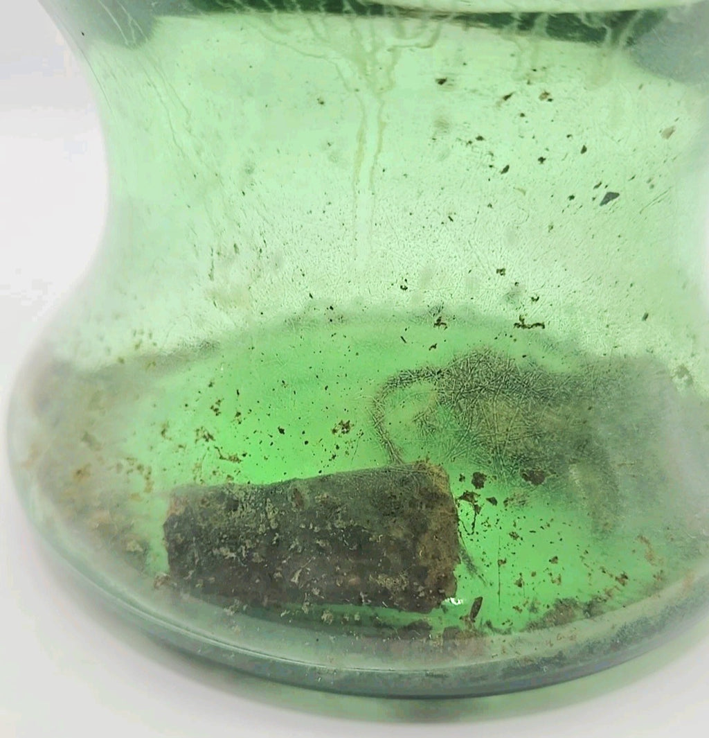 Vintage Green Glass Curiosity Bottle with Naturally Preserved Oddity