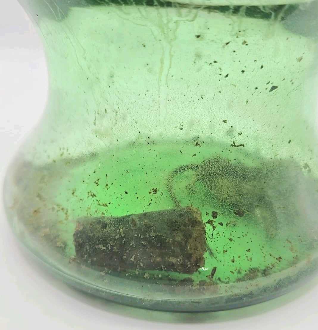 Vintage Green Glass Curiosity Bottle with Naturally Preserved Oddity