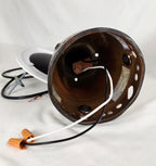 Barbara Woods Northern Pheasant Original Hand-Painted Silk Ceiling Pendant Light 31" with Fan Adapter