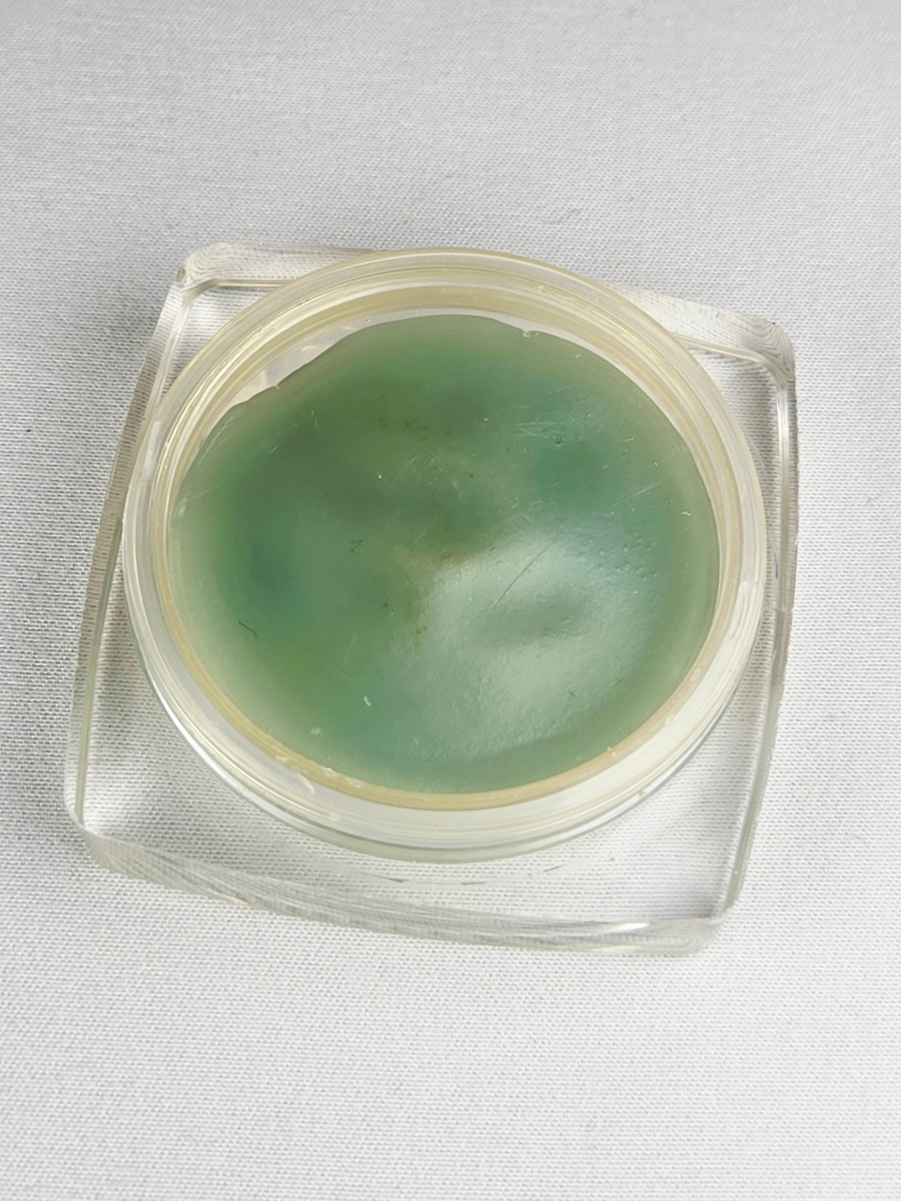 Scentsy Vintage Eskimo Kiss Wax Disk — Discontinued Hearth Scent