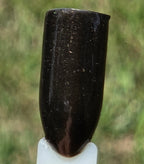 Liquid Krystal Co. Gilded Raven Prototype Nail Lacquer | Black Crelly with Antique Gold Shimmer | One-of-a-Kind Handmade Indie Polish