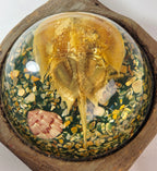 Vintage Resin Horseshoe Crab Coastal Curio Paperweight Display on Wood Base