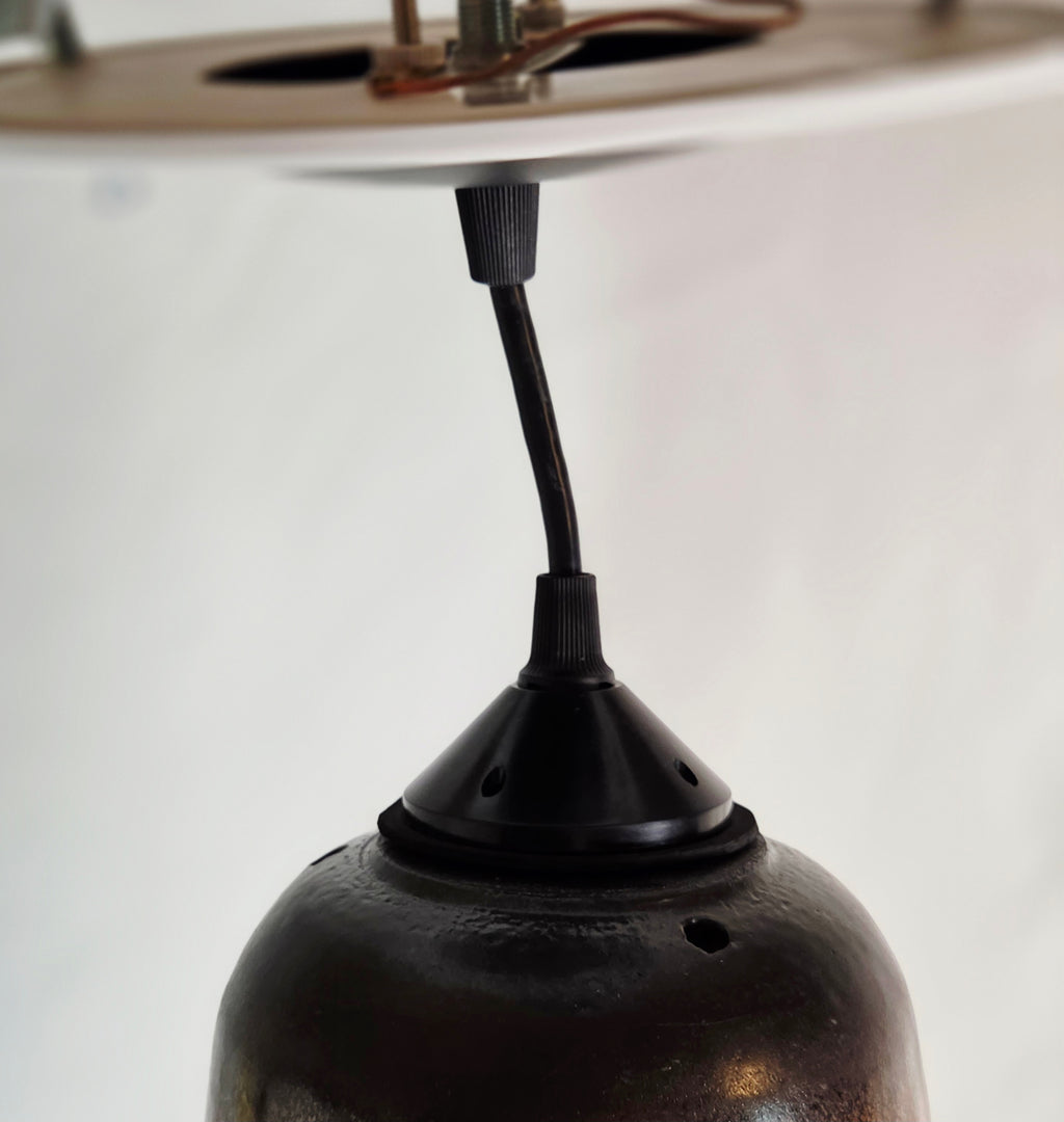 Barbara Woods Northern Pheasant Original Hand-Painted Silk Ceiling Pendant Light 31" with Fan Adapter