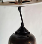 Barbara Woods Northern Pheasant Original Hand-Painted Silk Ceiling Pendant Light 31" with Fan Adapter