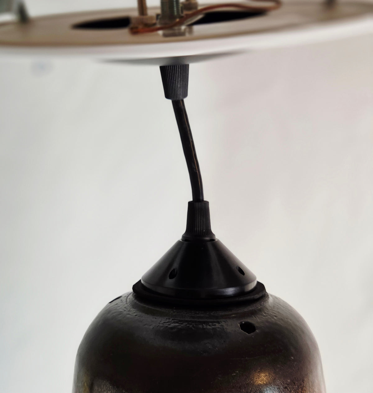 Barbara Woods Northern Pheasant Original Hand-Painted Silk Ceiling Pendant Light 31" with Fan Adapter