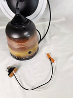 Barbara Woods Northern Pheasant Original Hand-Painted Silk Ceiling Pendant Light 31" with Fan Adapter
