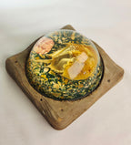 Vintage Resin Horseshoe Crab Coastal Curio Paperweight Display on Wood Base