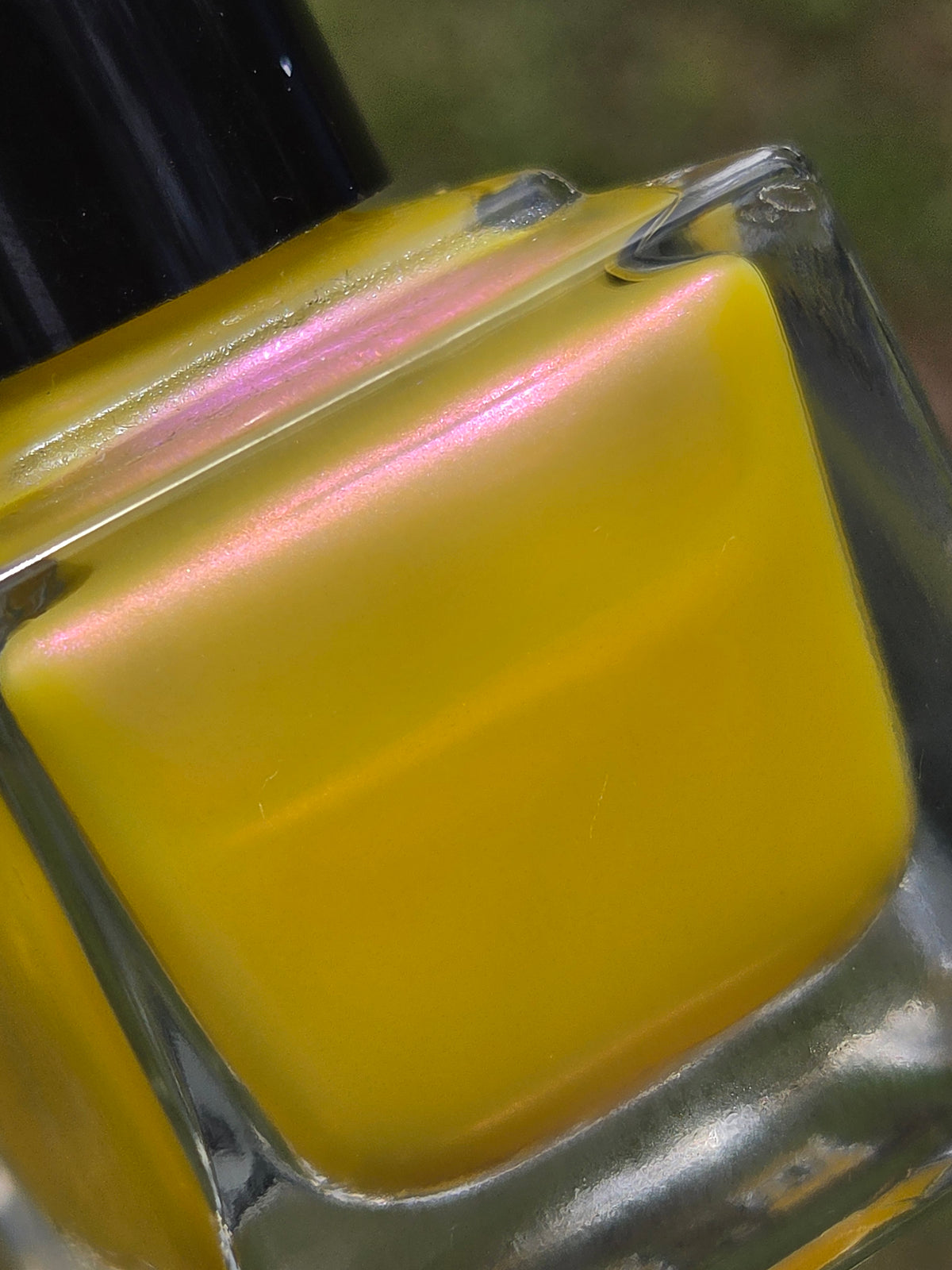 Pollinias Paradox - Yellow Crelly Nail Polish with Violet Pink Shimmer | Liquid Krystal Co. Handmade Indie Lacquer
