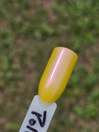 Pollinias Paradox - Yellow Crelly Nail Polish with Violet Pink Shimmer | Liquid Krystal Co. Handmade Indie Lacquer