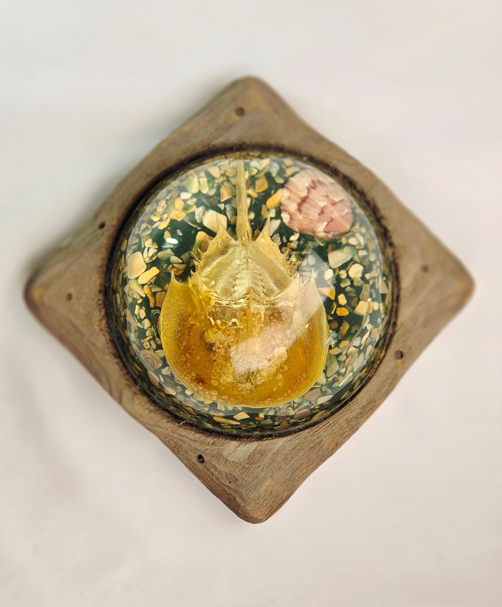 Vintage Resin Horseshoe Crab Coastal Curio Paperweight Display on Wood Base