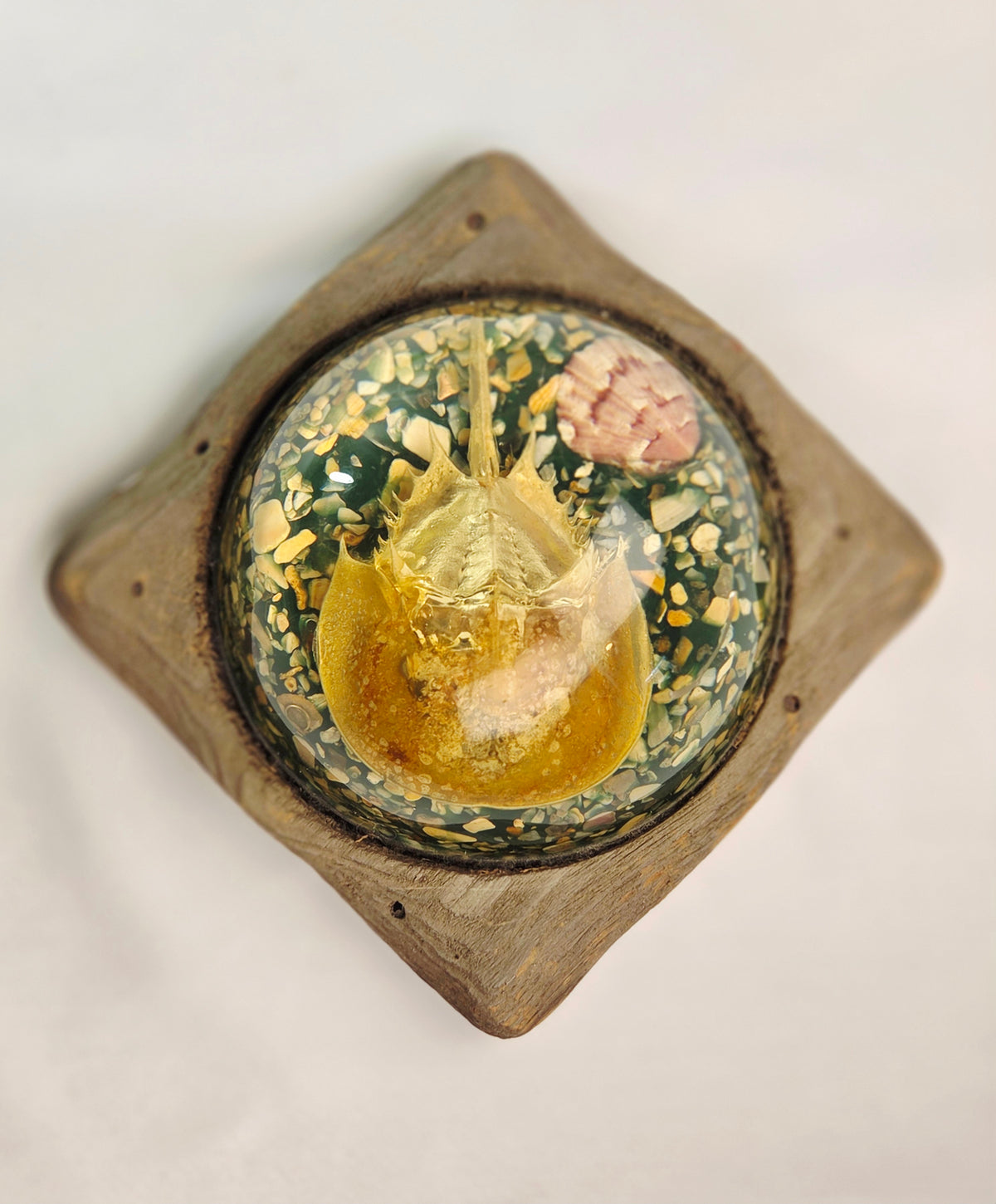 Vintage Resin Horseshoe Crab Coastal Curio Paperweight Display on Wood Base