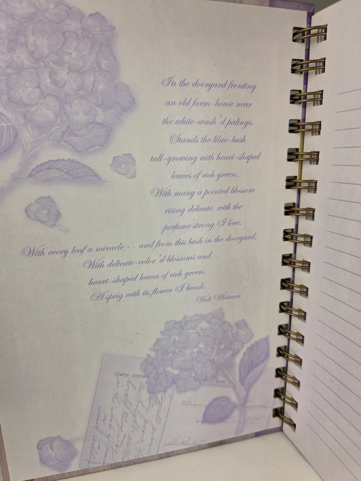 Vintage 2002 C.R. Gibson Hydrangea Garden Spiral Journal – NOS