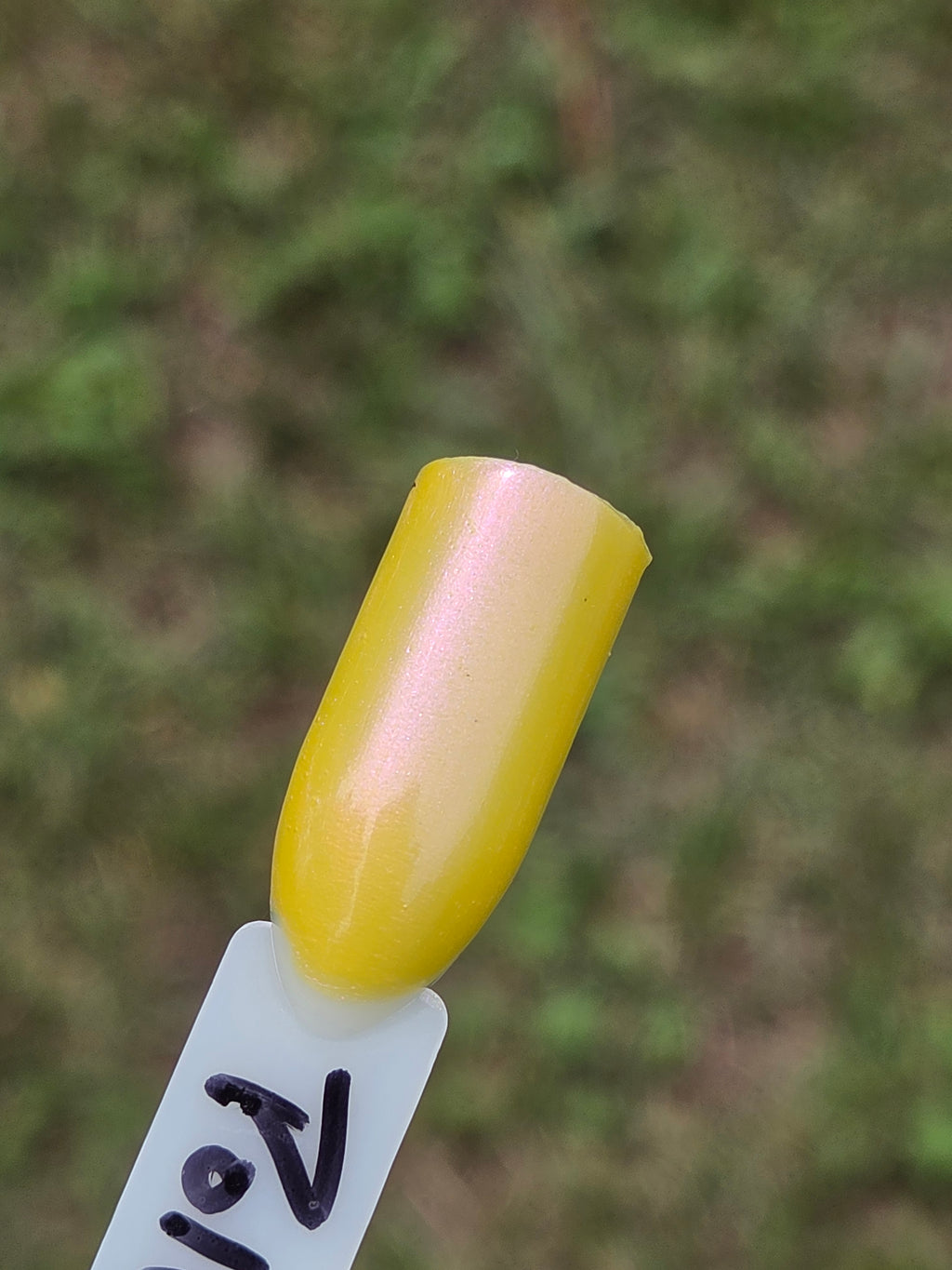 Pollinias Paradox - Yellow Crelly Nail Polish with Violet Pink Shimmer | Liquid Krystal Co. Handmade Indie Lacquer